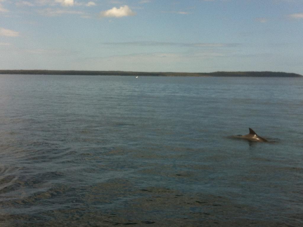 Huskisson Beach Motel Экстерьер фото